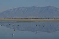 Antelope Island and Causeway